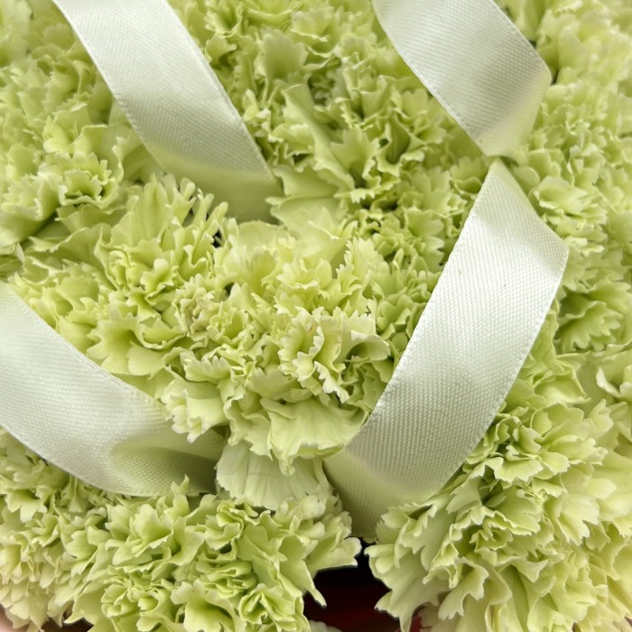 29 нежно-зеленых гвоздик