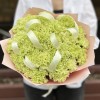 29 нежно-зеленых гвоздик
