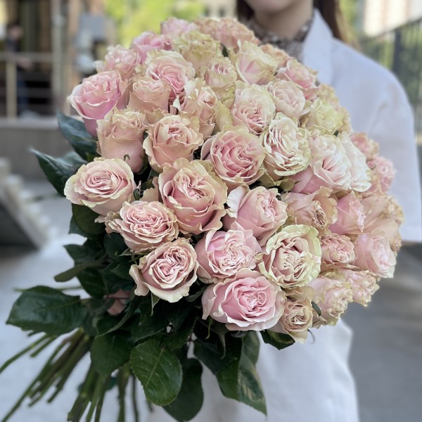 51 роза Пинк Мондиаль 60 см