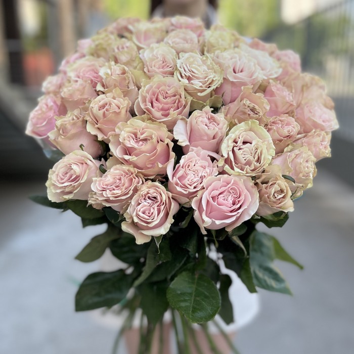 51 роза Пинк Мондиаль 80 см