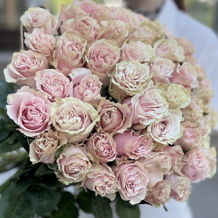 51 роза Пинк Мондиаль 80 см