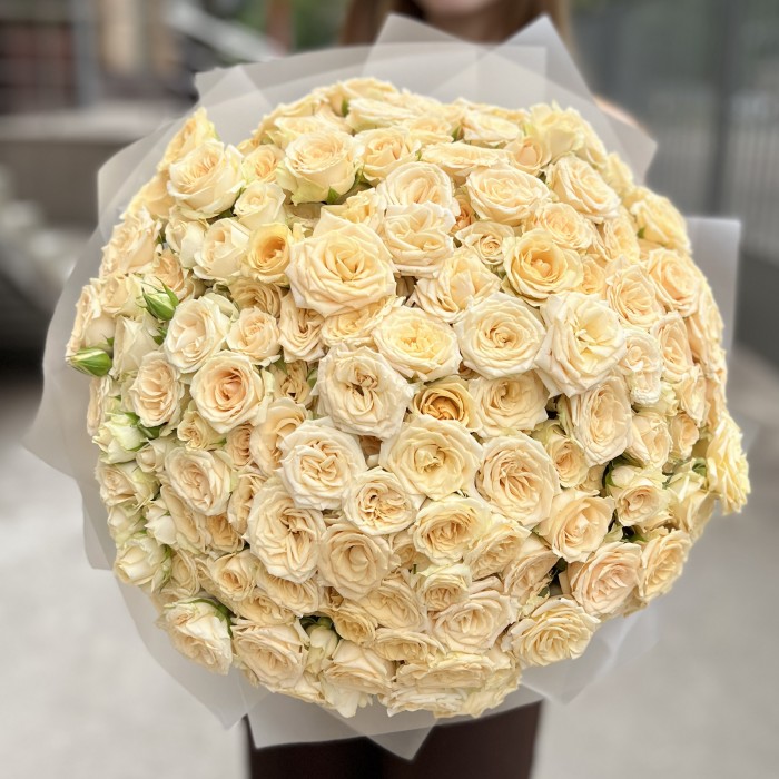 51 кустовая кремовая роза Аксана 40 см