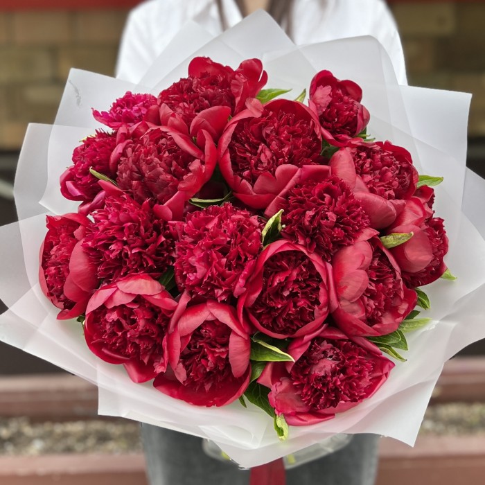 17 бордовых пионов Ред Шарм