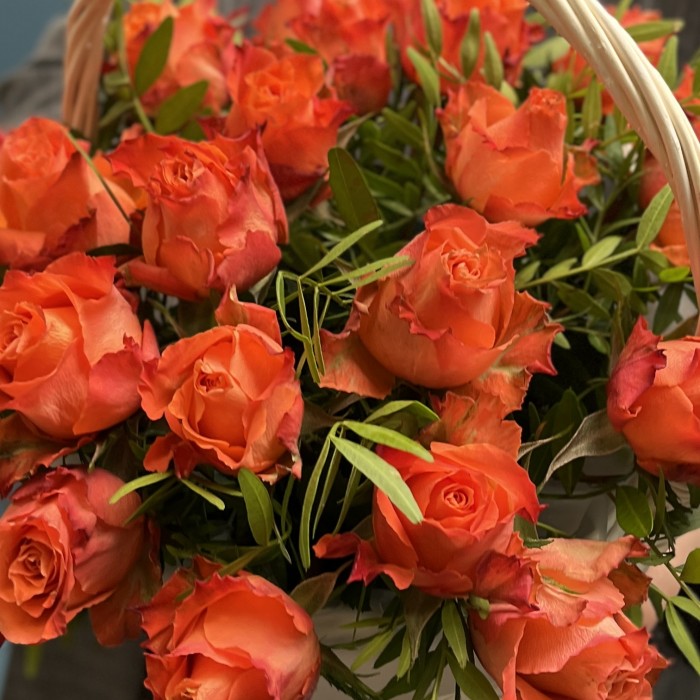 25 роз Тропикал Амазон в корзине