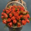 51 Роза Тропикал Амазон в корзине