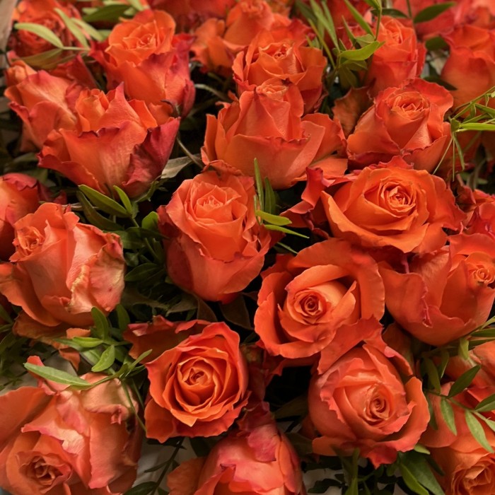 51 Роза Тропикал Амазон в корзине