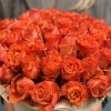 51 роза Тропикал Амазон в коробке