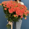 51 кустовая оранжевая роза Чарминг Бейб 80 см