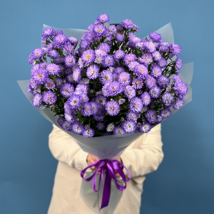 15 фиолетовых астер