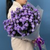 15 фиолетовых астер