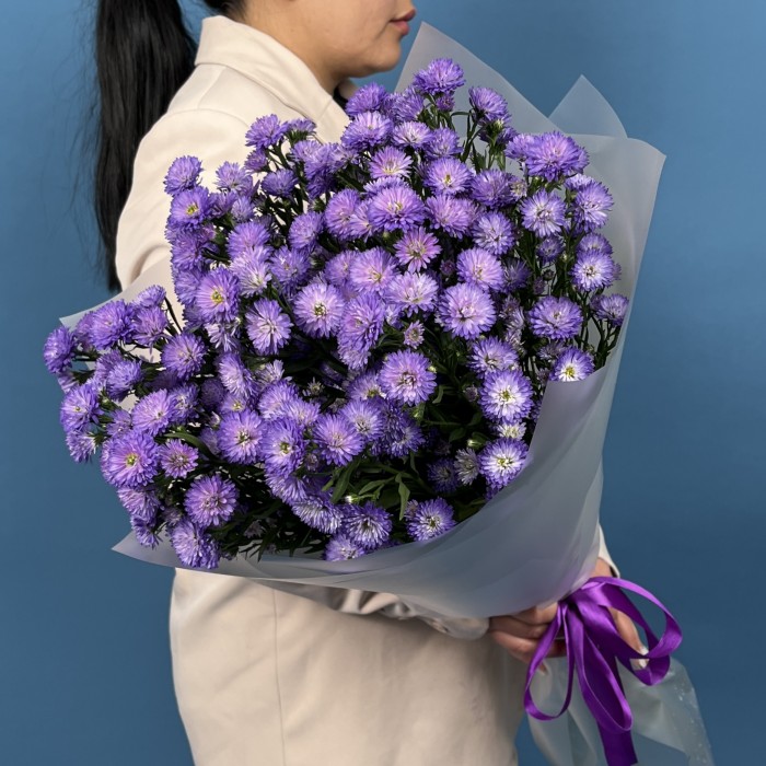 15 фиолетовых астер