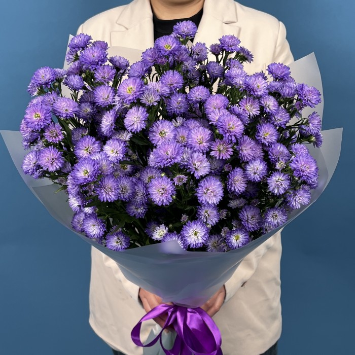 15 фиолетовых астер