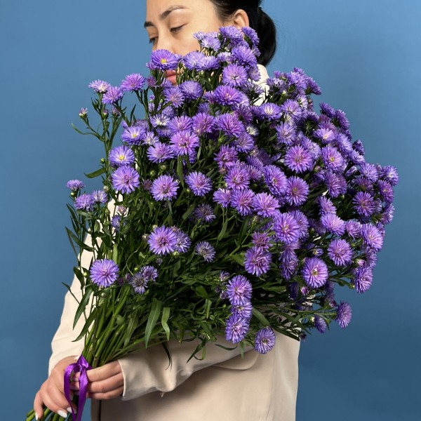 25 фиолетовых астер