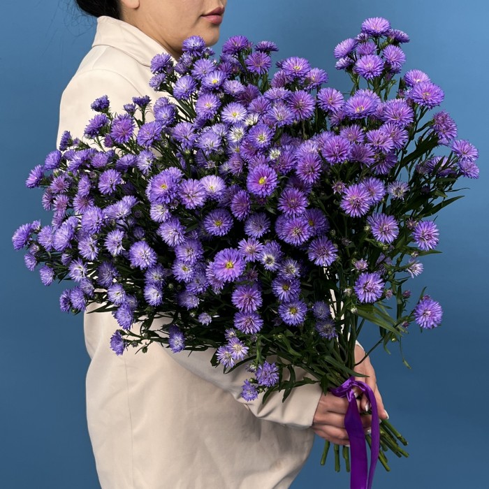 25 фиолетовых астер