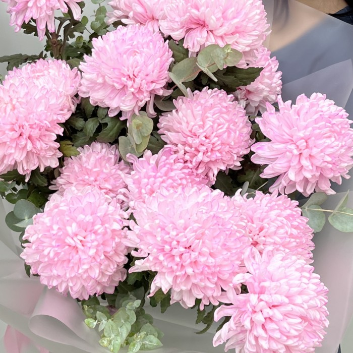 15 розовых хризантем с эвкалиптом