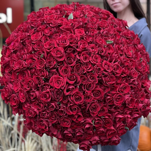 301 красная роза Эвер Ред