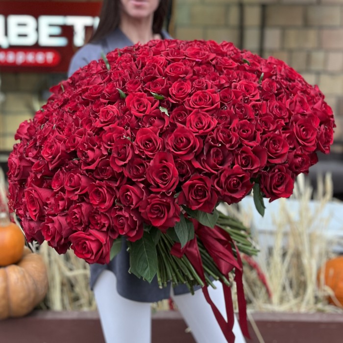 301 красная роза Эвер Ред