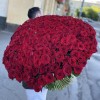 301 роза