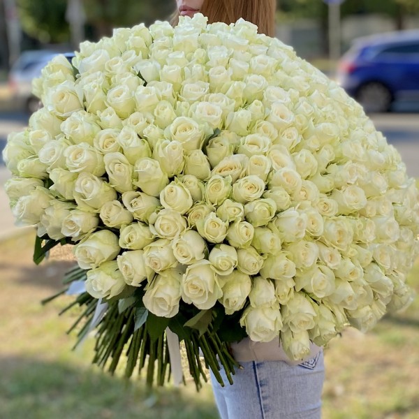 301 белая роза 60 см