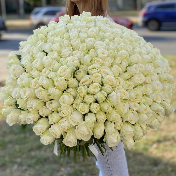 301 белая роза 60 см