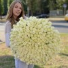 301 белая роза 60 см