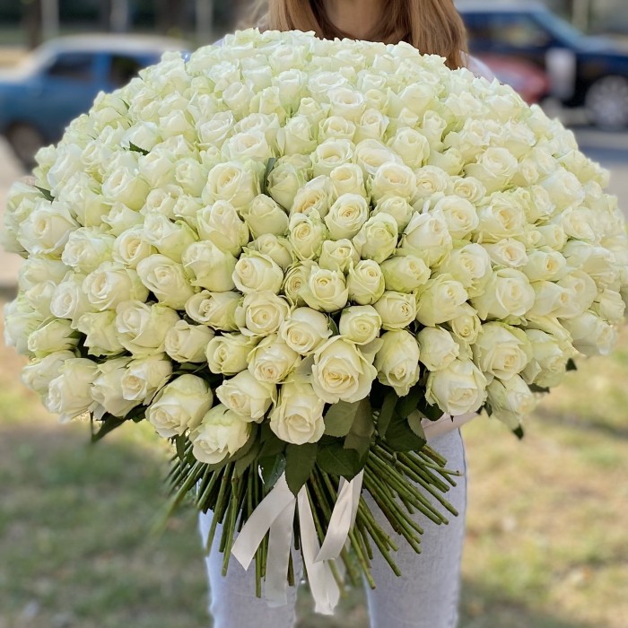 301 белая роза 60 см