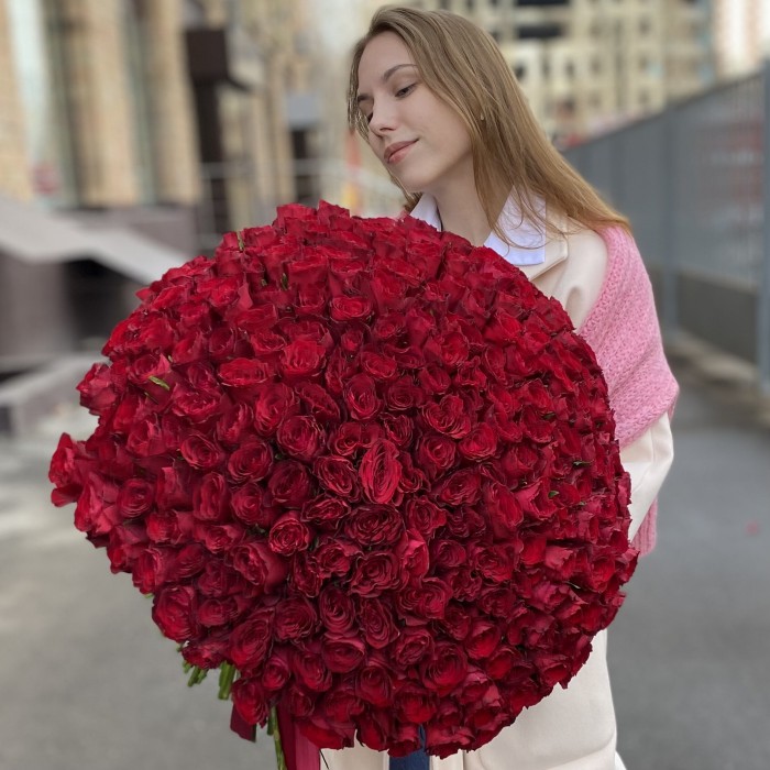 301 красная роза Мадам Рэд