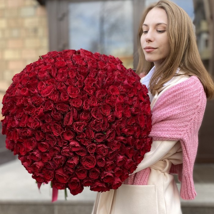 301 красная роза Мадам Рэд