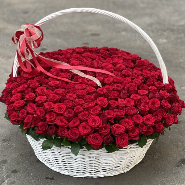 301 красная роза Ред Наоми в корзине