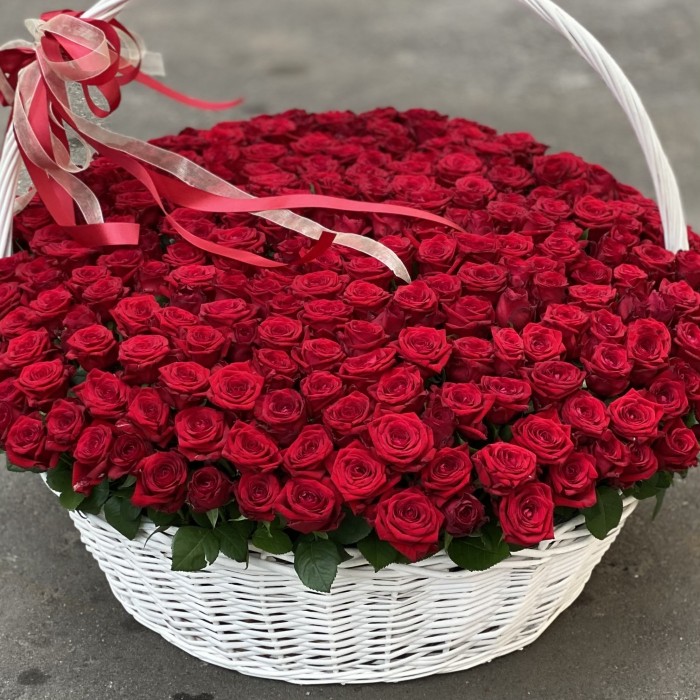 301 красная роза Ред Наоми в корзине