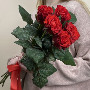 5 красных роз Эль Торо 60 см