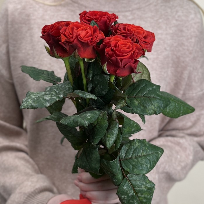 5 красных роз Эль Торо 60 см