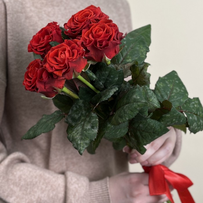 5 красных роз Эль Торо 60 см
