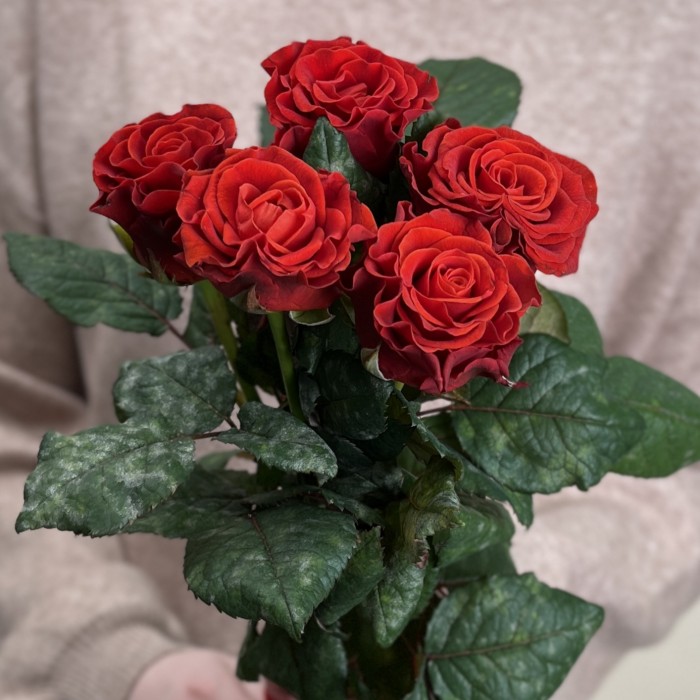 5 красных роз Эль Торо 60 см