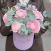 7 розовых ранункулюсов в коробке