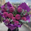 11 фиолетовых георгин с эвкалиптом