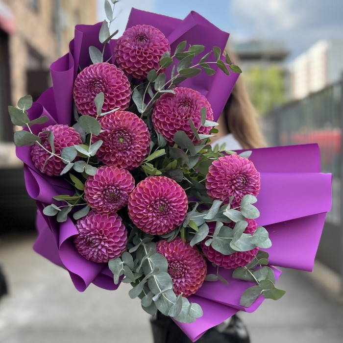 11 фиолетовых георгин с эвкалиптом