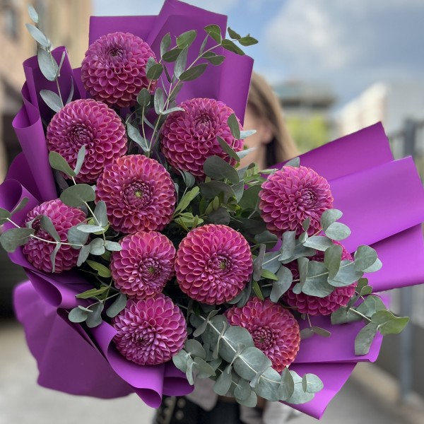 11 фиолетовых георгин с эвкалиптом