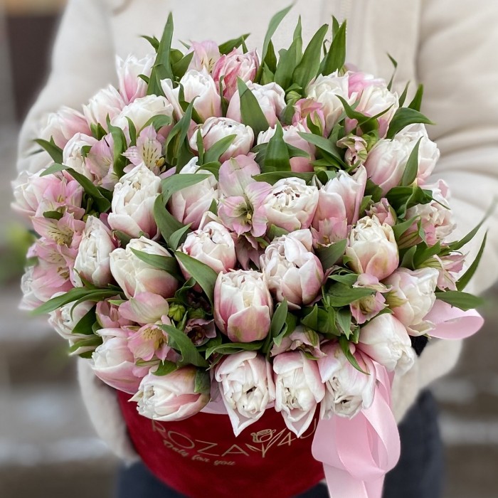 31 бело-розовый пионовидный тюльпан с альстромерией в коробке
