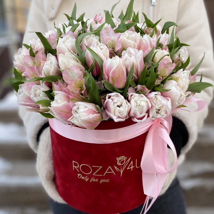 31 бело-розовый пионовидный тюльпан с альстромерией в коробке