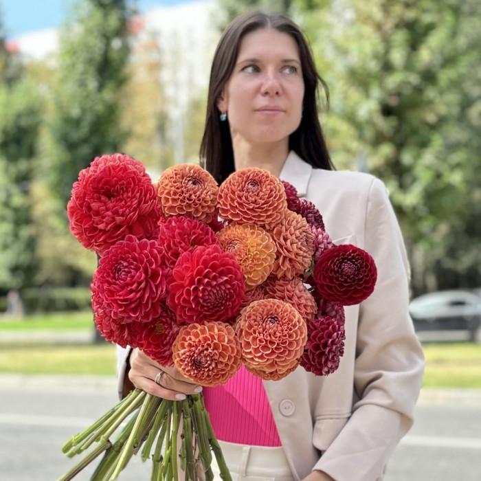 31 георгин Осенний микс