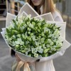 35 белых альстромерий