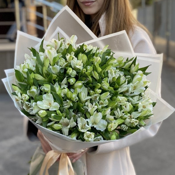 35 белых альстромерий