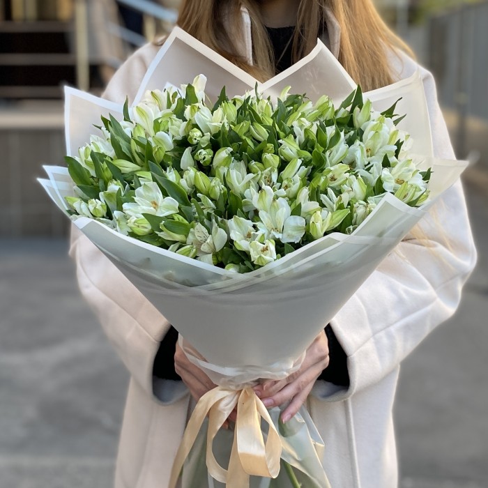 35 белых альстромерий