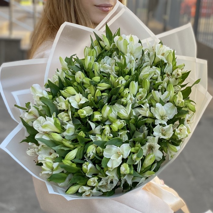 35 белых альстромерий