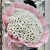 35 белых кустовых хризантем Бакарди