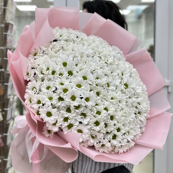 35 белых кустовых хризантем Бакарди