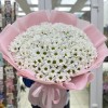 35 белых кустовых хризантем Бакарди