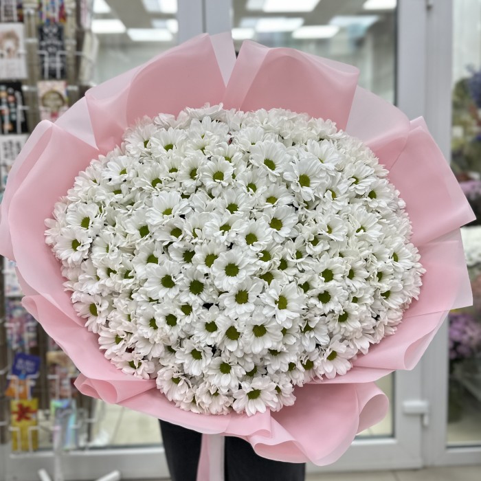 35 белых кустовых хризантем Бакарди