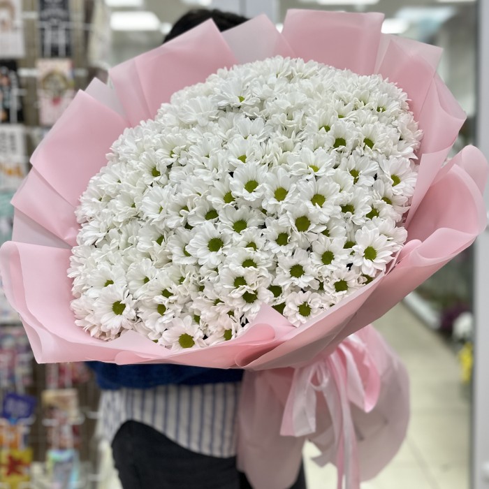 35 белых кустовых хризантем Бакарди